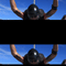 1596004425 skydiving.png?w=60&h=60&dpr=1